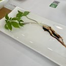 회령 옷 | 완정역 한식맛집 인천 서구 코스요리 연잎밥과 국수 다밀 검단점 솔직후기