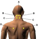 경락한의원 이미지