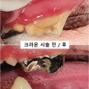 크라운 동물병원 이미지