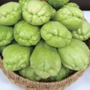 상순이네 하우스 이미지