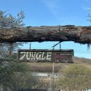 정글바베큐 | 판교 정글바베큐 가족모임 내돈내산 후기🏕️🍖 (아기랑 다녀온 캠핑 고깃집)