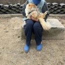 더 스테이 챕터 | 북한산 중흥사 템플스테이