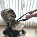 베이비하우스대전세종점 이미지