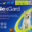 도담시청약국 이미지