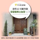 경수농장 | 광주시 식물 카페 유칼립투스농장 소개