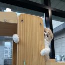 다다민박 이미지