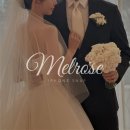 멜로즈 | 📱 본식 아이폰 스냅 계약 후기♥️ 멜로즈스냅 (Melrose Snap)_짝궁코드공유
