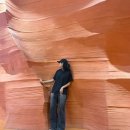 짱게임랜드 이미지