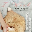 아이위시