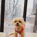 해태동물병원 이미지