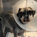 벡스코 동물병원 이미지