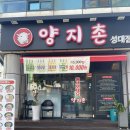 양지촌양꼬치 | 수원 성균관대 맛집 양지촌 양꼬치 율전동 양꼬치 맛집