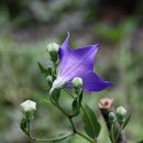 망미주공 이미지