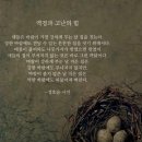 동해국수 - 평택시 | 동해국수