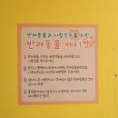 오수봉투 | 오수휴게소 반려견 놀이터와 강아지 동반식당까지 있음