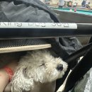 수박 당구장 이미지