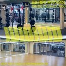 티투엘/팀터틀랫피트니스롯데백화점 이미지