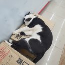 세븐일레븐태안신두리점 이미지