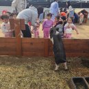 사무엘농장 이미지