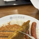 롯데몰 광명점 카레 추천 - [코코이찌방야 롯데몰...카레를 맛나게 먹을 수 있는 곳 내돈내산 후기
