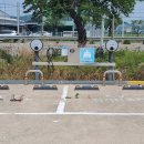 황금코다리군산직영점 이미지