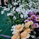 장안꽃시장 이미지