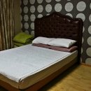 아모렉스 이미지