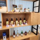 커들리 독 이미지