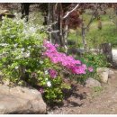 이정화농장 이미지