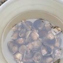 골드하우스 펜션 이미지