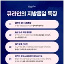 큐라인 네이버블로그