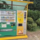 전주동물원 2탄 바이킹,관람차,회전목마,오리배,우주비행선,비행기(제트기),청룡열차타본 후기