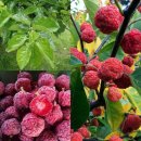 온누리신그린약국 이미지