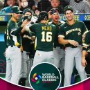 오늘 WBC 결과 및 현재 C조 순위 이미지