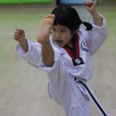 태권도삼일체육관 이미지