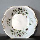 도그 블라썸 이미지