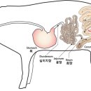 은하수곱창 이미지