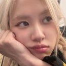 로제 이미지