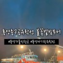 (주)충무공크루즈관광 | 아기랑 통영가볼만한곳 통영충무공유람선 불꽃 별빛투어