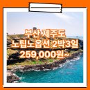 부산_제주도_2박3일 #관광패키지 #노팁노옵션 #석석 / 부산제주패키지 여행사 / 김해공항