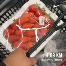알바라카마트강릉 | 나는야, 숨고르기 청년🫪(1)