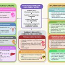 Re: Apoptosis vs anastasis(minority MOMP) --＞ CAD 관련 악성종양 유발기전 2026 네이처!! 이미지