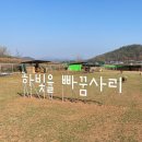 하빛율빠꿈사리 이미지