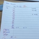 종로-신영-종로-영-244 | 복숭아의 계절