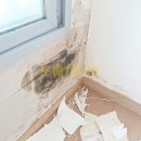 드림스파티움 이미지