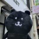 바니스바스켓 이미지