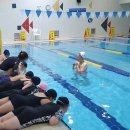 구미시 선산청소년수련관 수영장 이미지