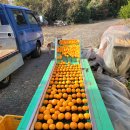 남원읍-16 이미지