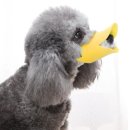 말랑말랑 이미지