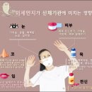먼지비켜